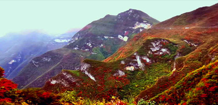 三峡巫山红叶之旅三日游